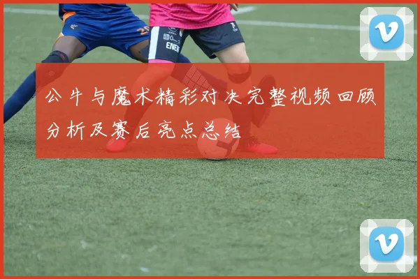 公牛与魔术精彩对决完整视频回顾分析及赛后亮点总结