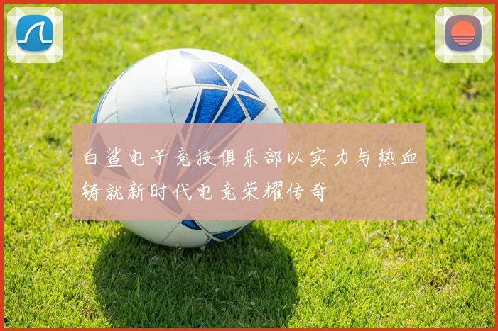 白鲨电子竞技俱乐部以实力与热血铸就新时代电竞荣耀传奇