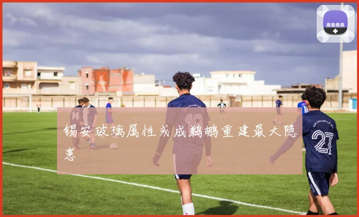 锡安玻璃属性或成鹈鹕重建最大隐患