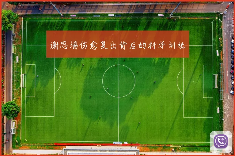 谢思埸伤愈复出背后的科学训练