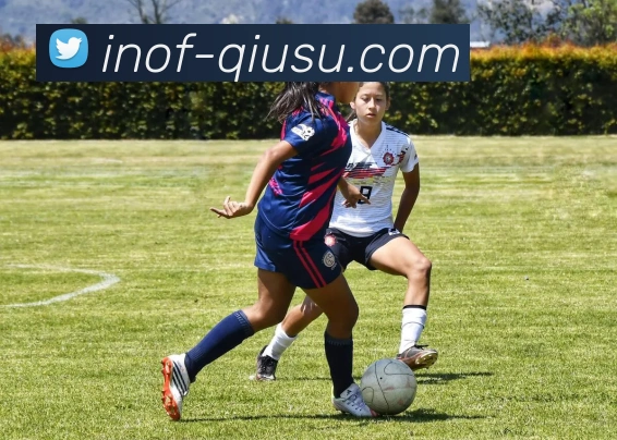 球速APP 体育赛事宣传图